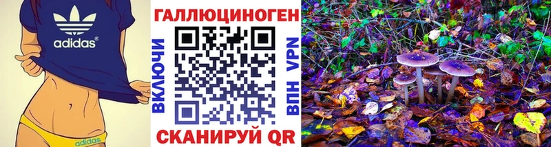 blacksprut ссылки  Алатырь  Галлюциногенные грибы Magic Shrooms 